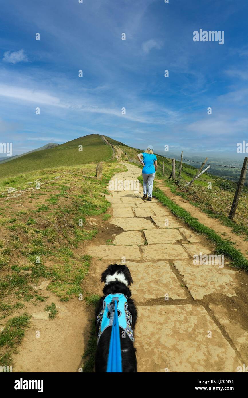 A woman walking and a dog on a paved path at the top of Mam Tor Castleton in the High Peak of Derbyshire, Peak District National Park, England, UK Stock Photo