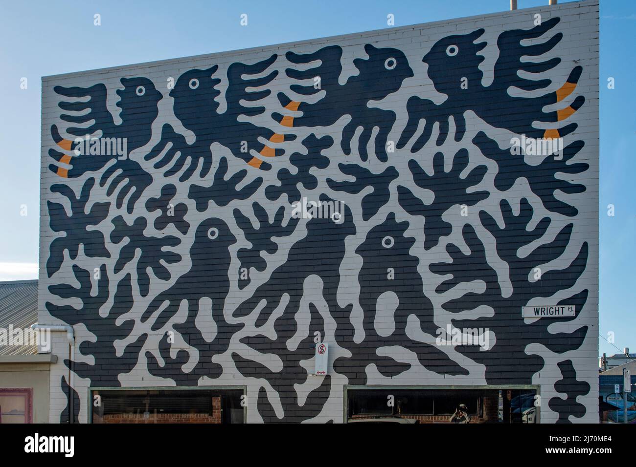 Birds Street Art, Wright Place, Geelong, Victoria, Australia Stock