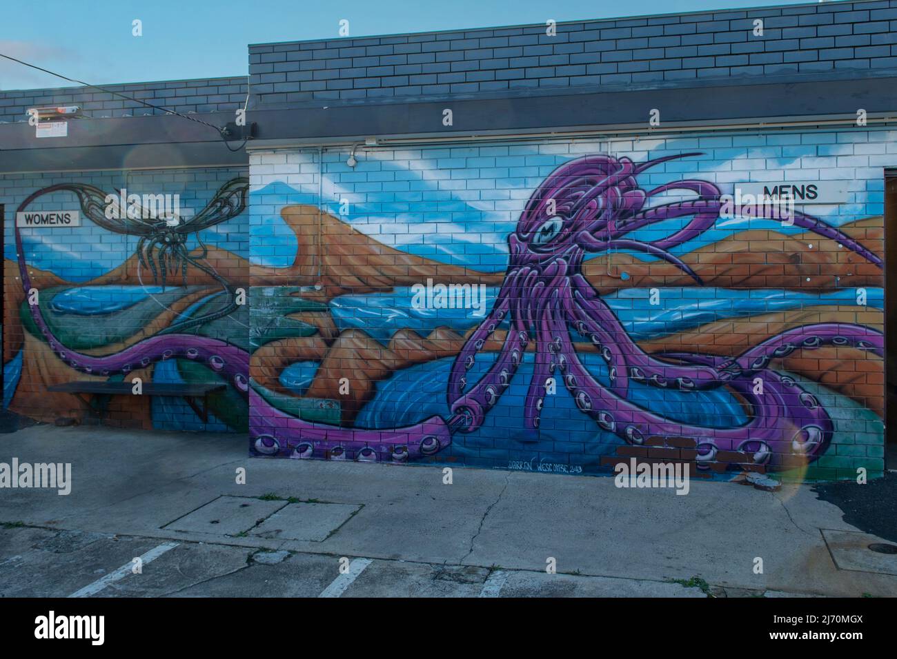 Toilet Block Street Art, Little Ryrie St, Geelong, Victoria, Australia Stock Photo Alamy