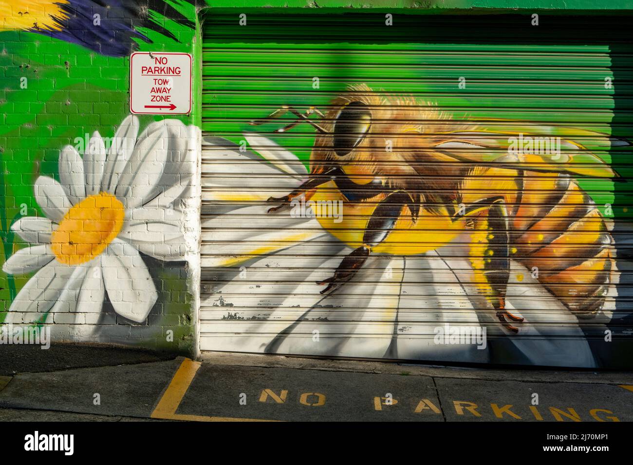 Bee on Flower Street Art, Baylie Place, Geelong, Victoria, Australia Stock Photo