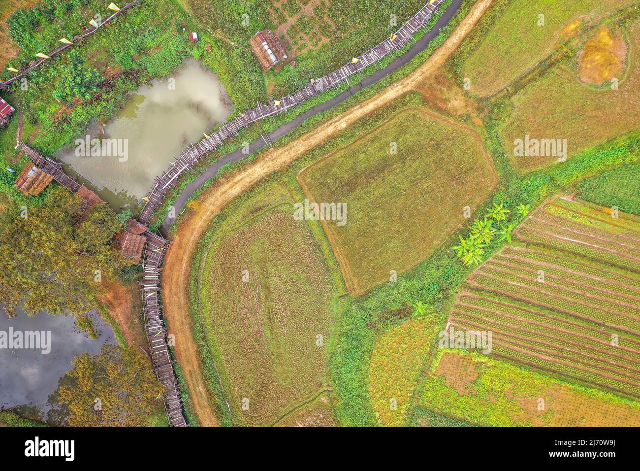 Aerial views of Pua and the rice fields in Nan province, Thailand Stock ...