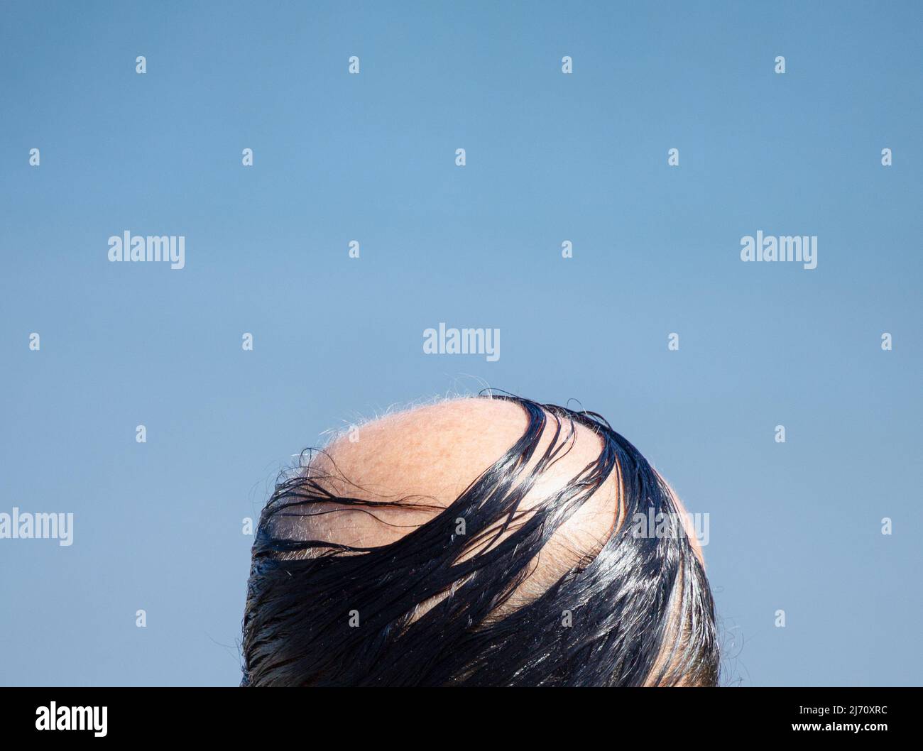 Rear view of balding eldery man with comb over. Copy space Stock Photo