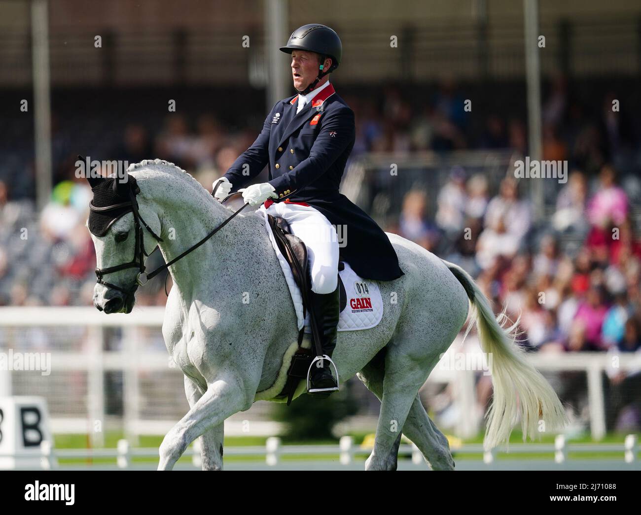 Oliver Townend on Swallow Springs during the dressage test on day two of the Badminton Horse Trials held at The Badminton Estate, Gloucestershire. Picture date: Thursday May 5, 2022. Stock Photo