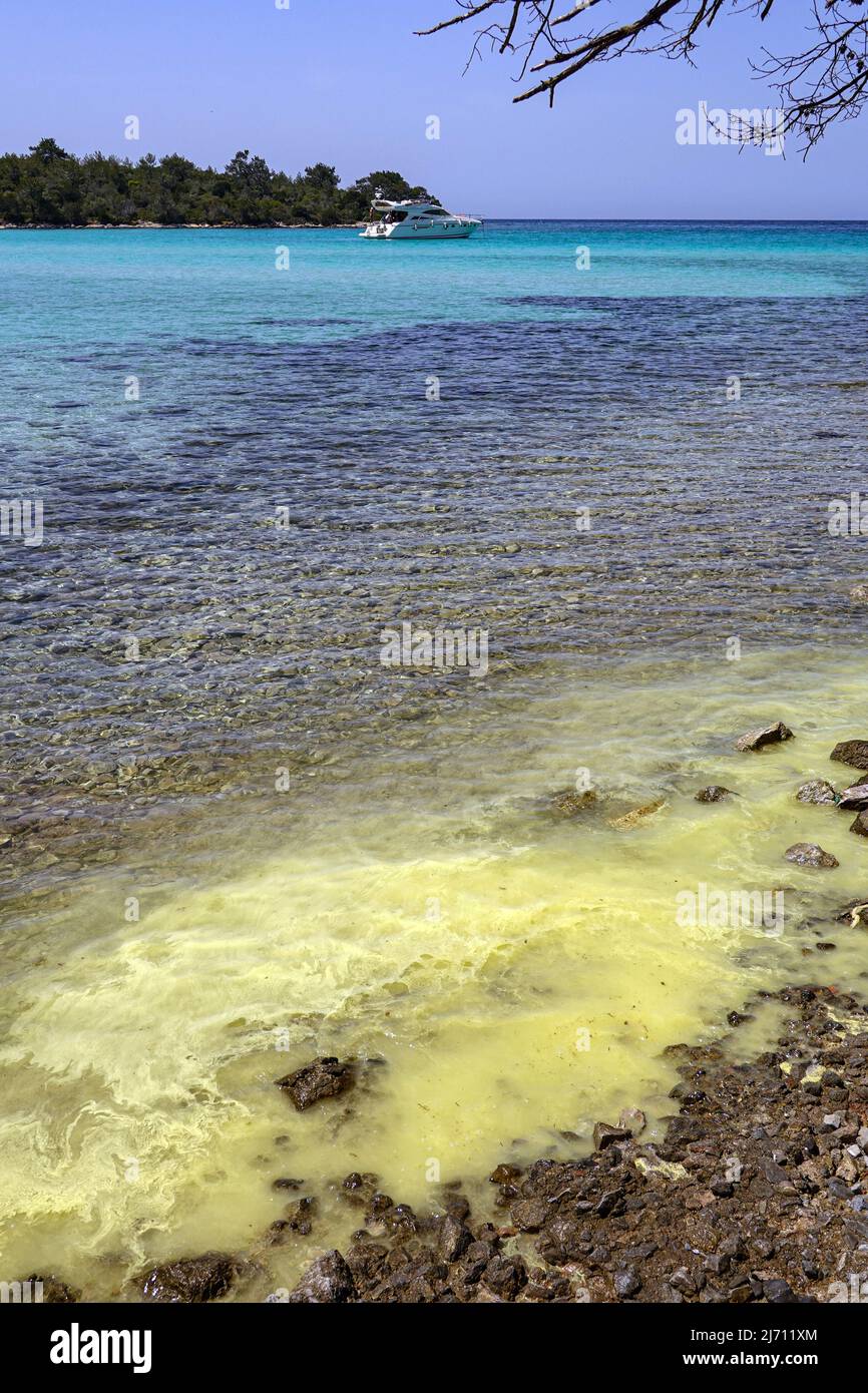 Yellow pollen and Blue water at Çamkoru Sitesi Plajı beach near Akbuk, Turkey Stock Photo