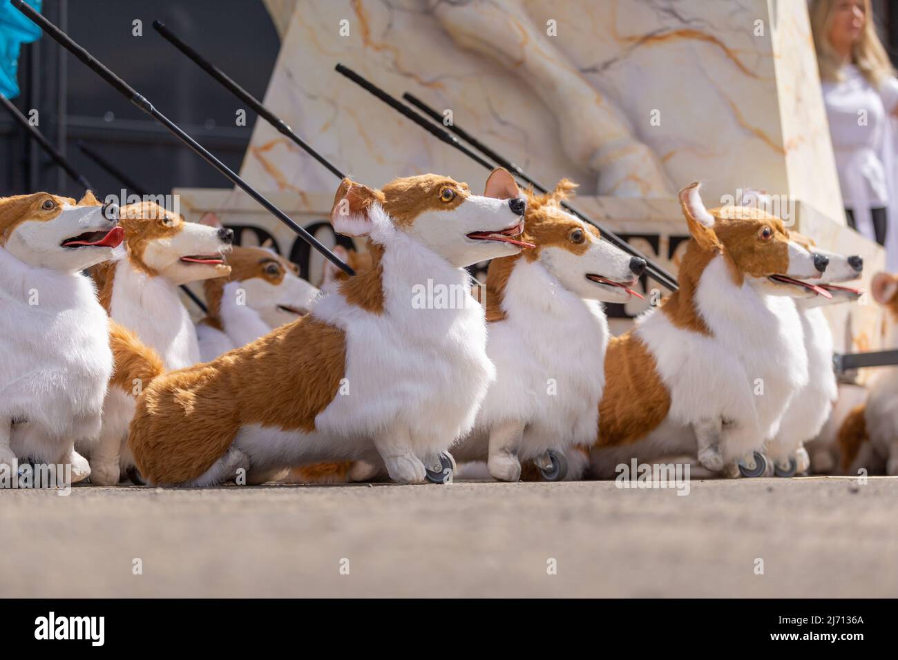 Coventry, UK. 5th May, 2022. Puppet corgis created by Coventry based events production company Imagineer sit patiently as the company prepares its contribution to The Queen's Platinum Jubilee Pageant next month. The corgis are part of the company's show The Queen's Favourites. Credit: Peter Lopeman/Alamy Live News Stock Photo