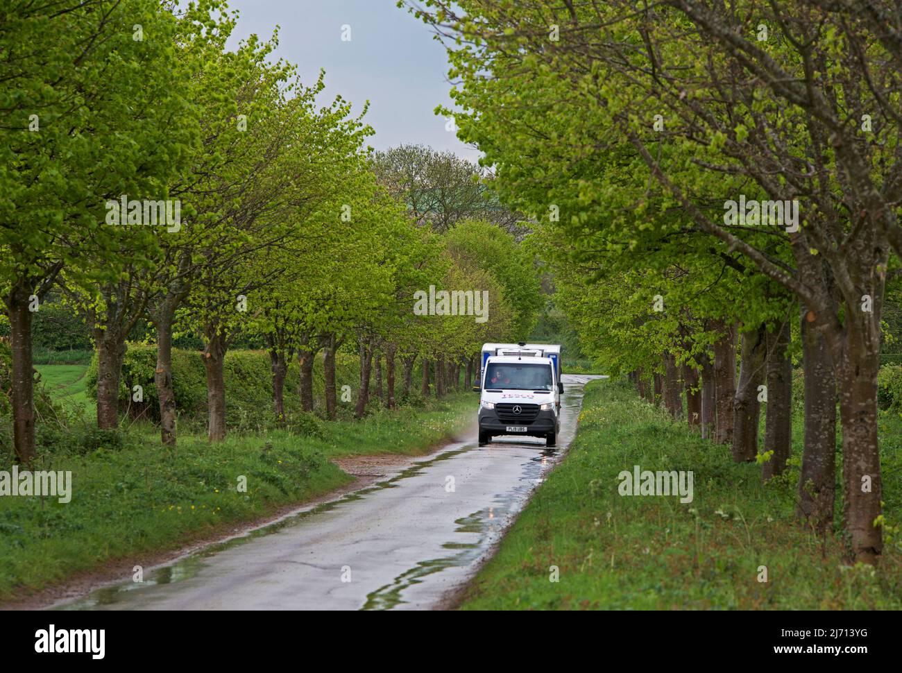Tesco delivery van on treelined road near Hotham, East Yorkshire