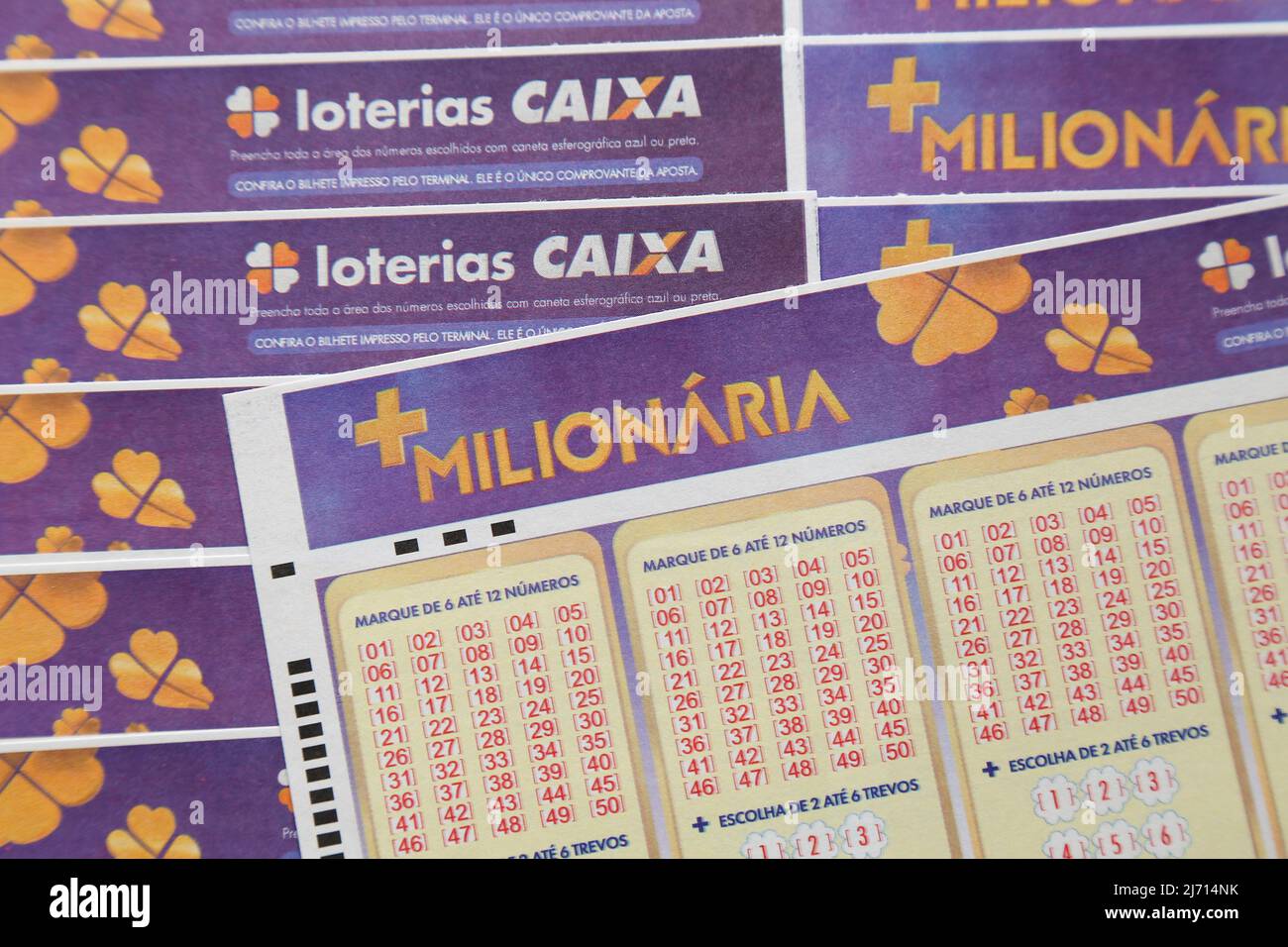 Fortunate Events: Brazilian Lottery Enthusiasts Win Big with Lotofácil