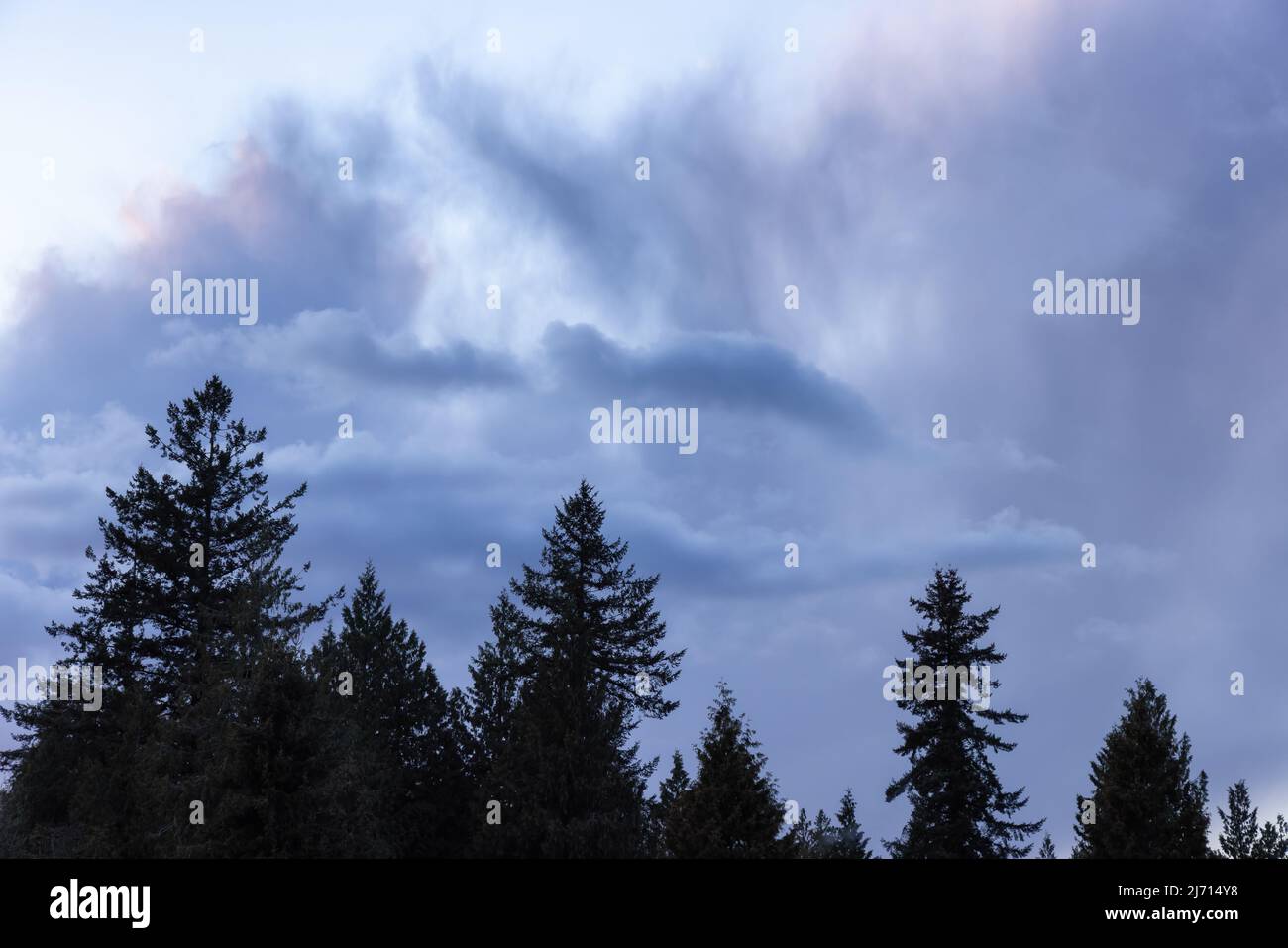 Dramatic Cloudy Sunset Sky Background with green trees Stock Photo - Alamy