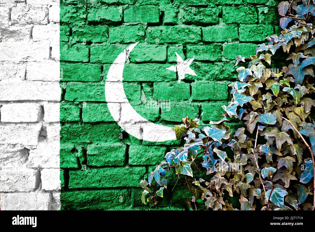 Pakistan grunge flag on brick wall with ivy plant, country symbol concept Stock Photo