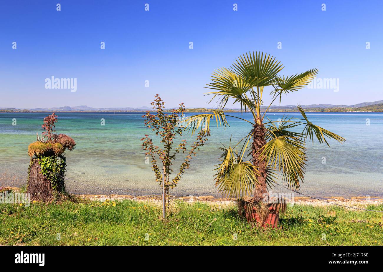 Scenic View over mediterranean Lake Constance from Reichenau Island at springtime Stock Photo