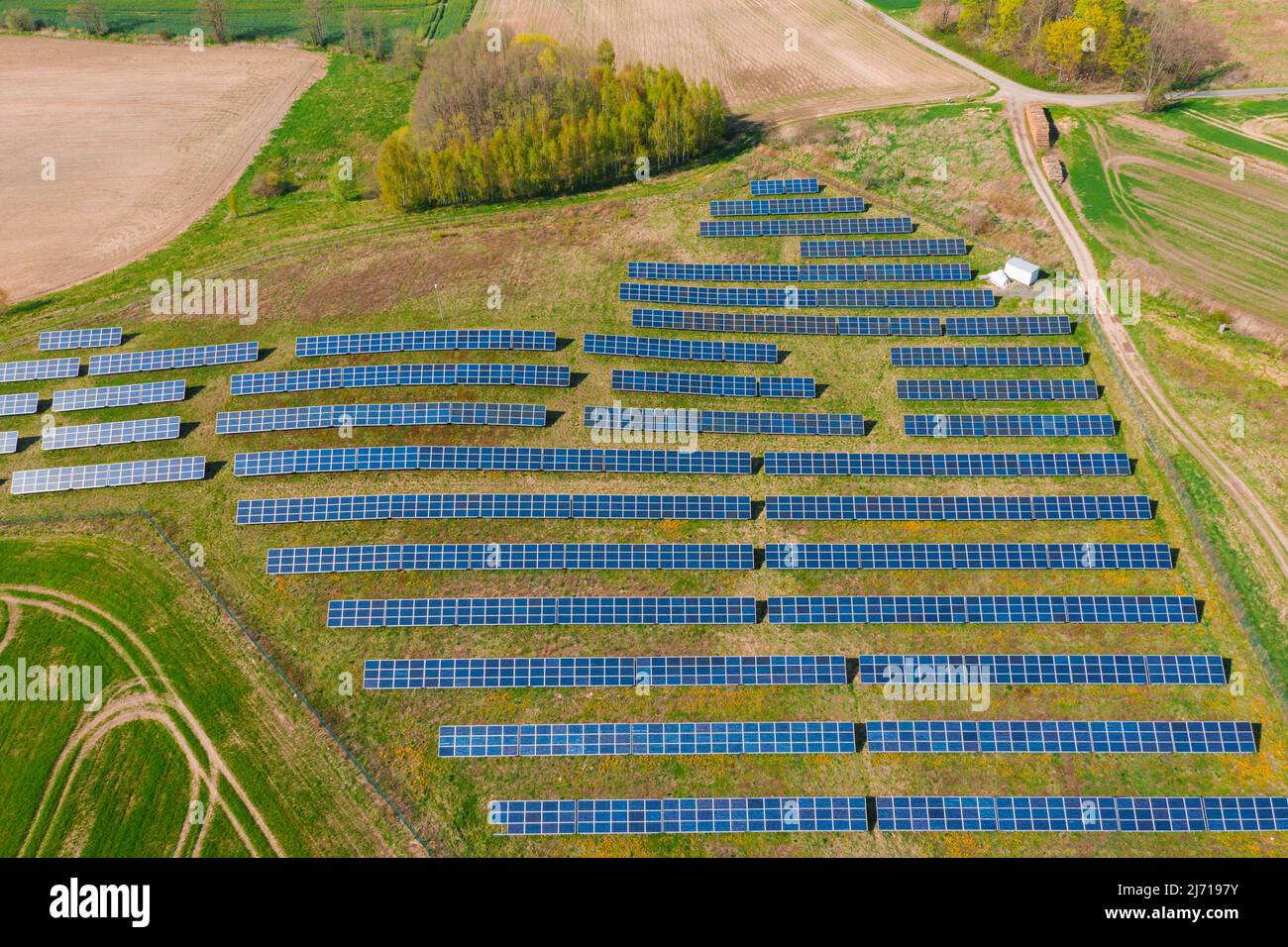 Solar panels on a hillside overgrown with green, illuminated by sunlight. View from the drone. Stock Photo
