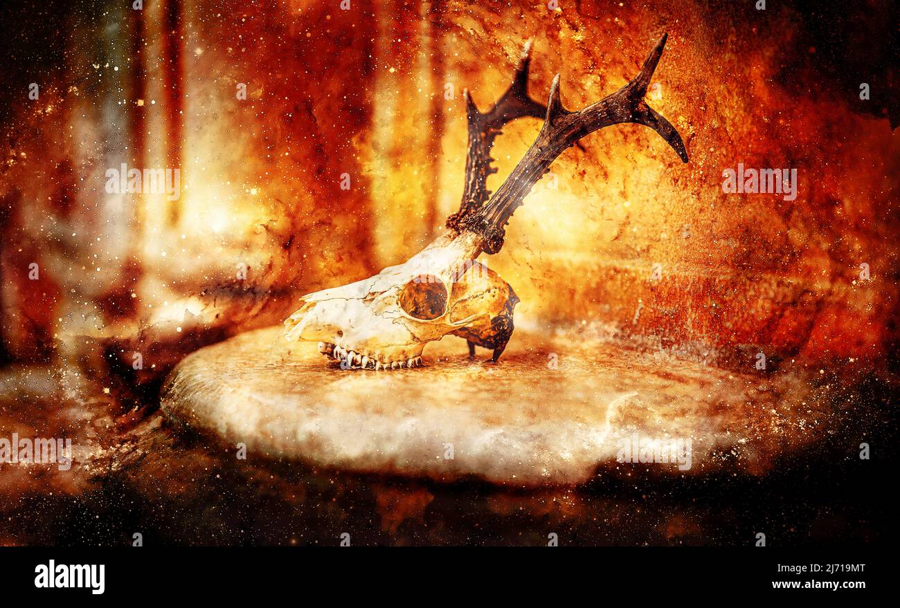 Cosmic ritual art hi-res stock photography and images - Alamy