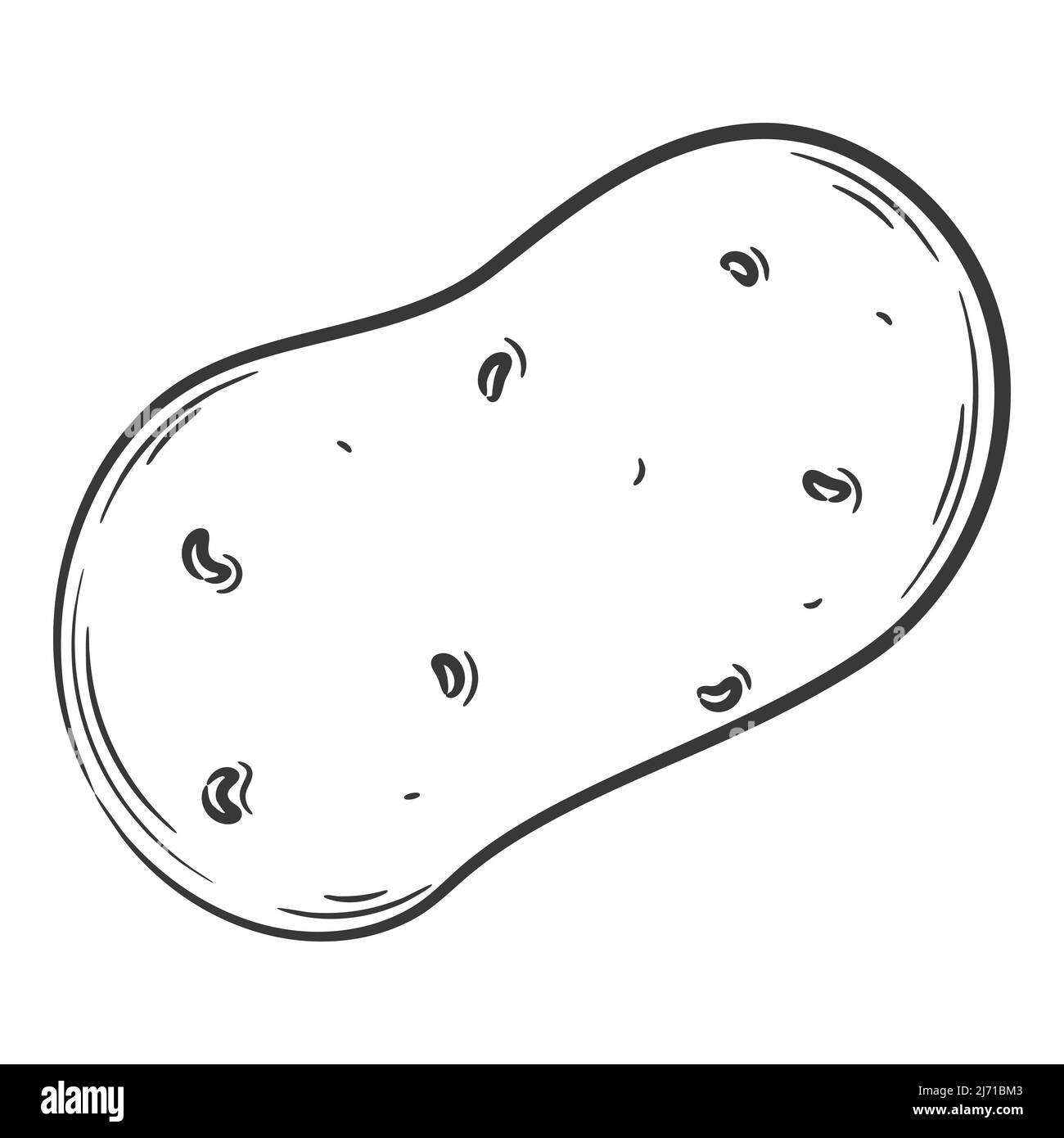 Potato Line Art