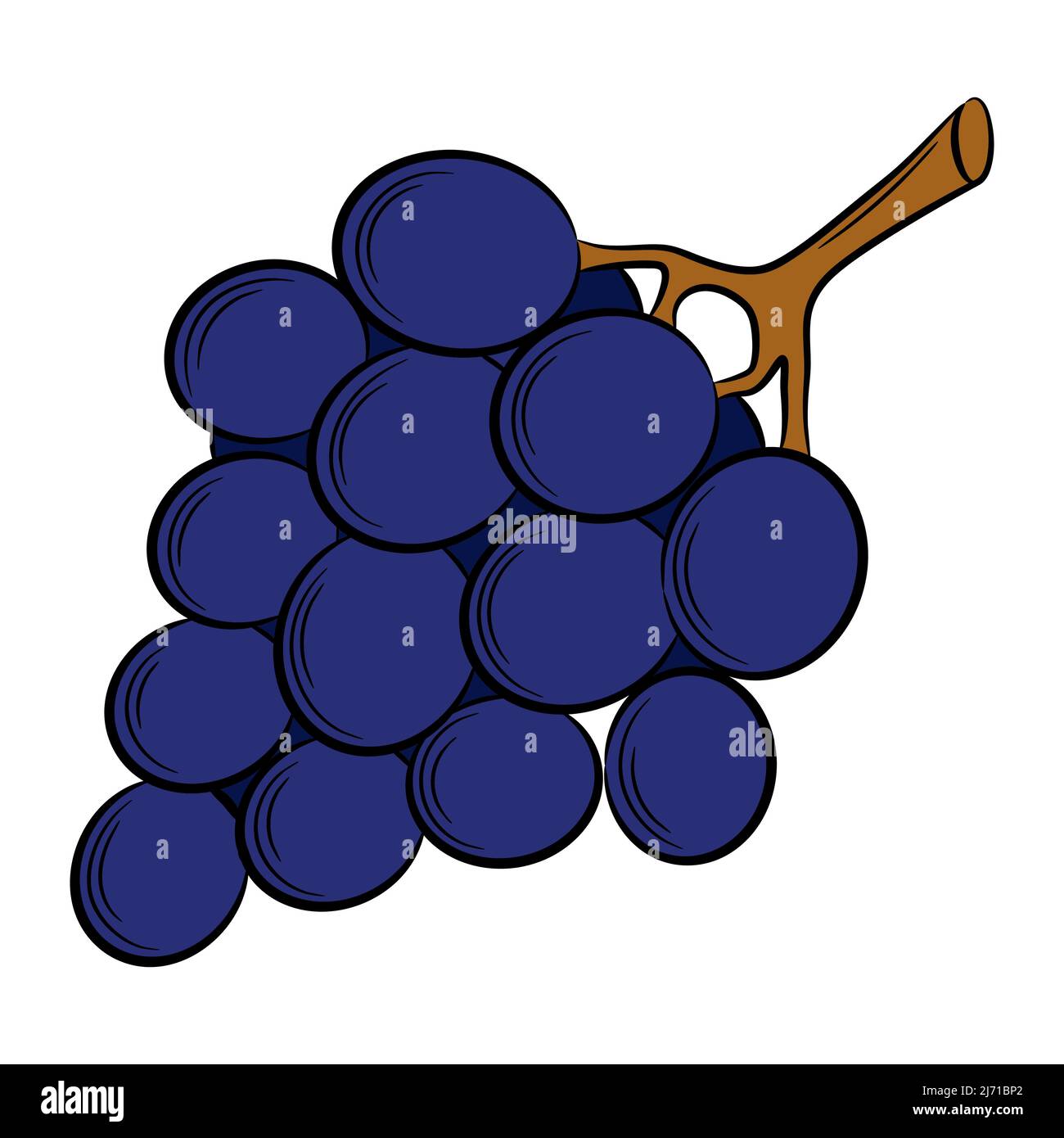 grape,berry in a linear style. Colorful vector decorative element, drawn by hand. Stock Vector