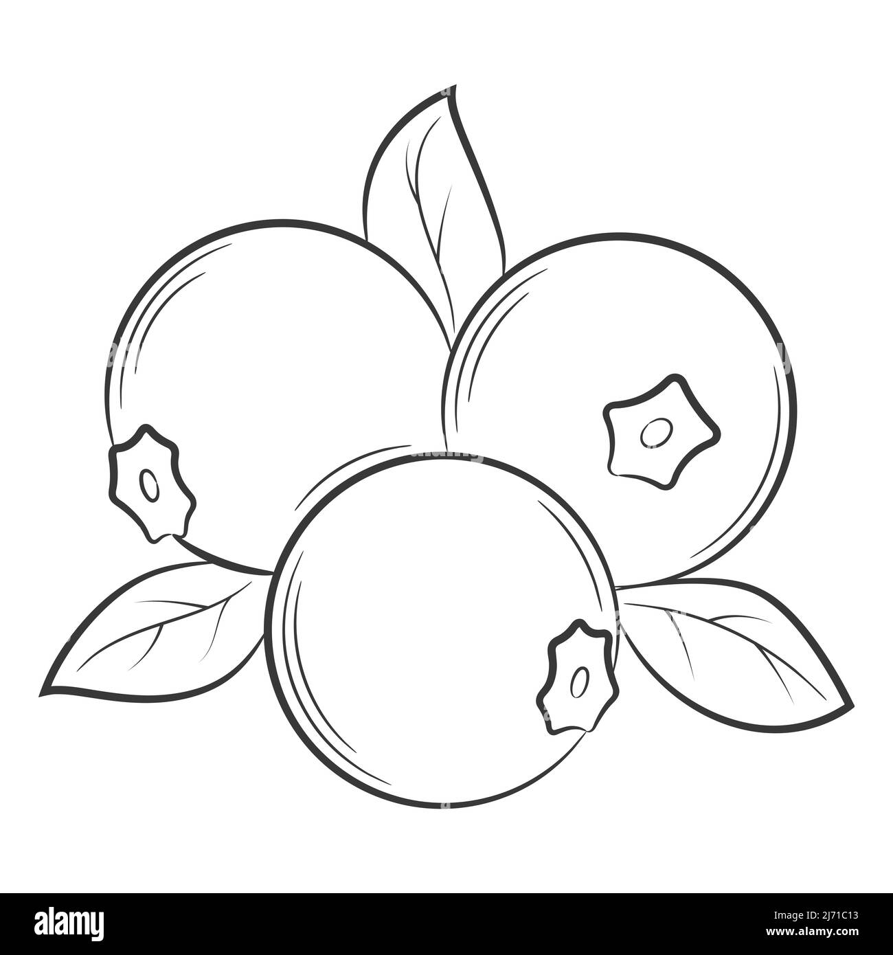 upo vegetable clipart black and white sun