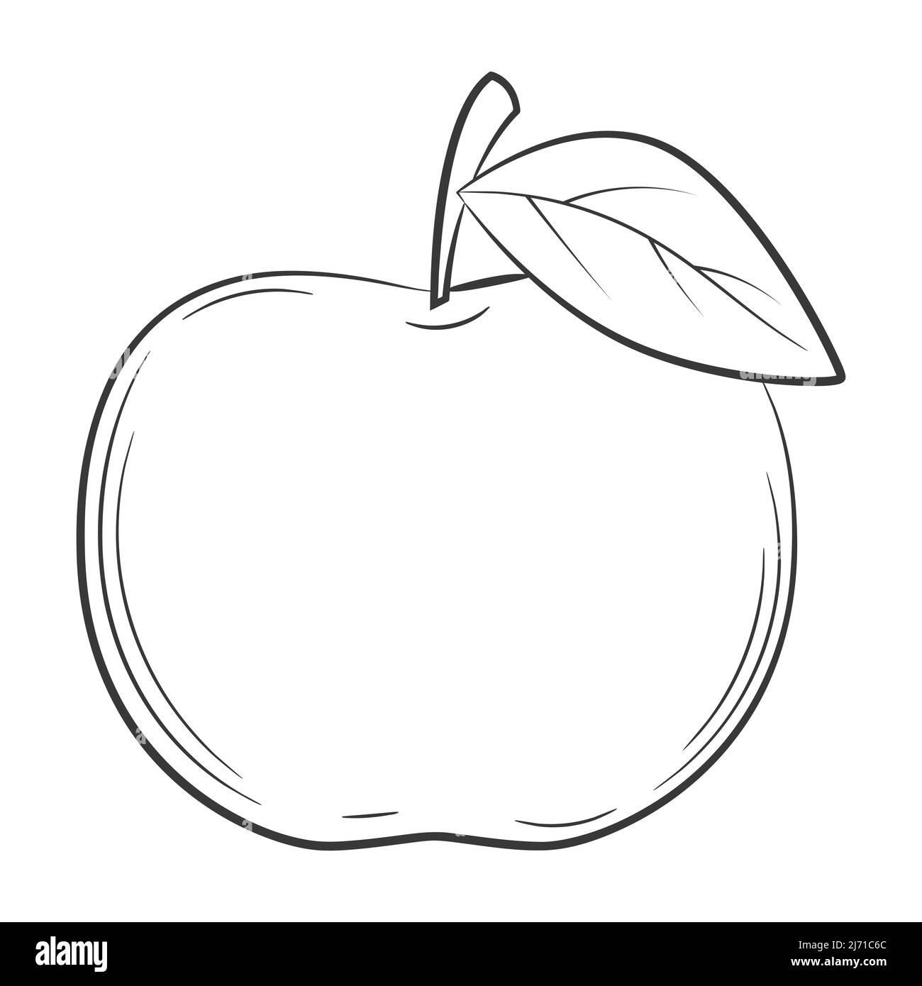 Apple,fruit in a linear style. Black and white vector decorative element,  drawn by  on white background Stock Vector Image & Art - Alamy