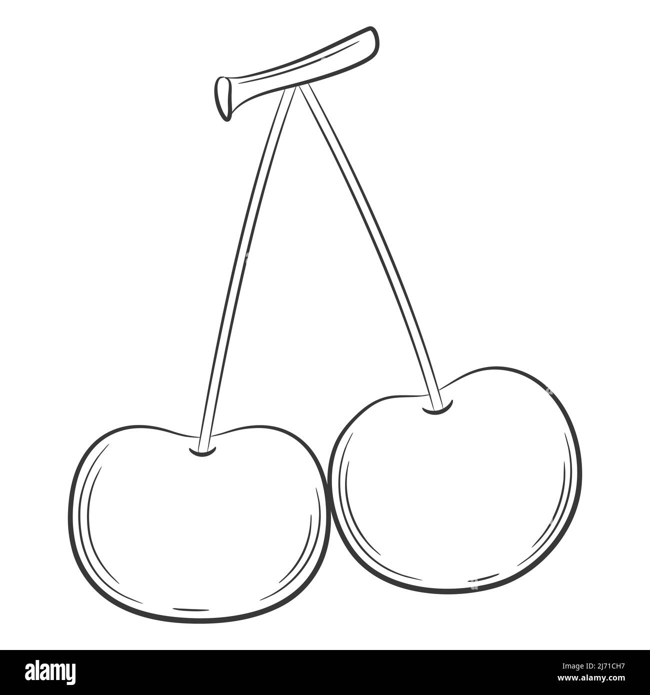 Cherry, sweet cherry, berry in a linear style. Black and white vector