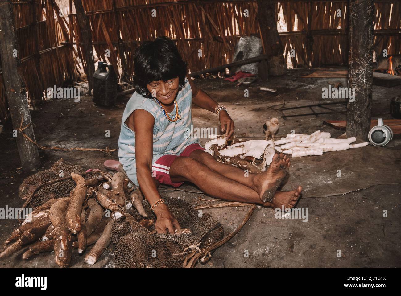 Indigenous woman from Arara do Laranjal tribe in the Brazilian Amazon, pealing manioc. Xingu River, 2007. Stock Photo