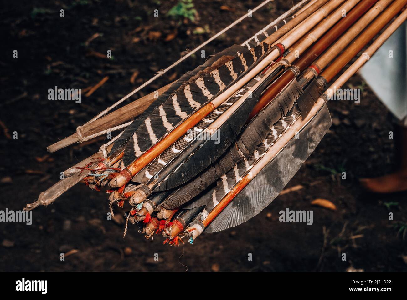 Hand made feathered indian arrows crafted by indians of the Arara tribe, Xingu River, Amazon, Brazil. Stock Photo