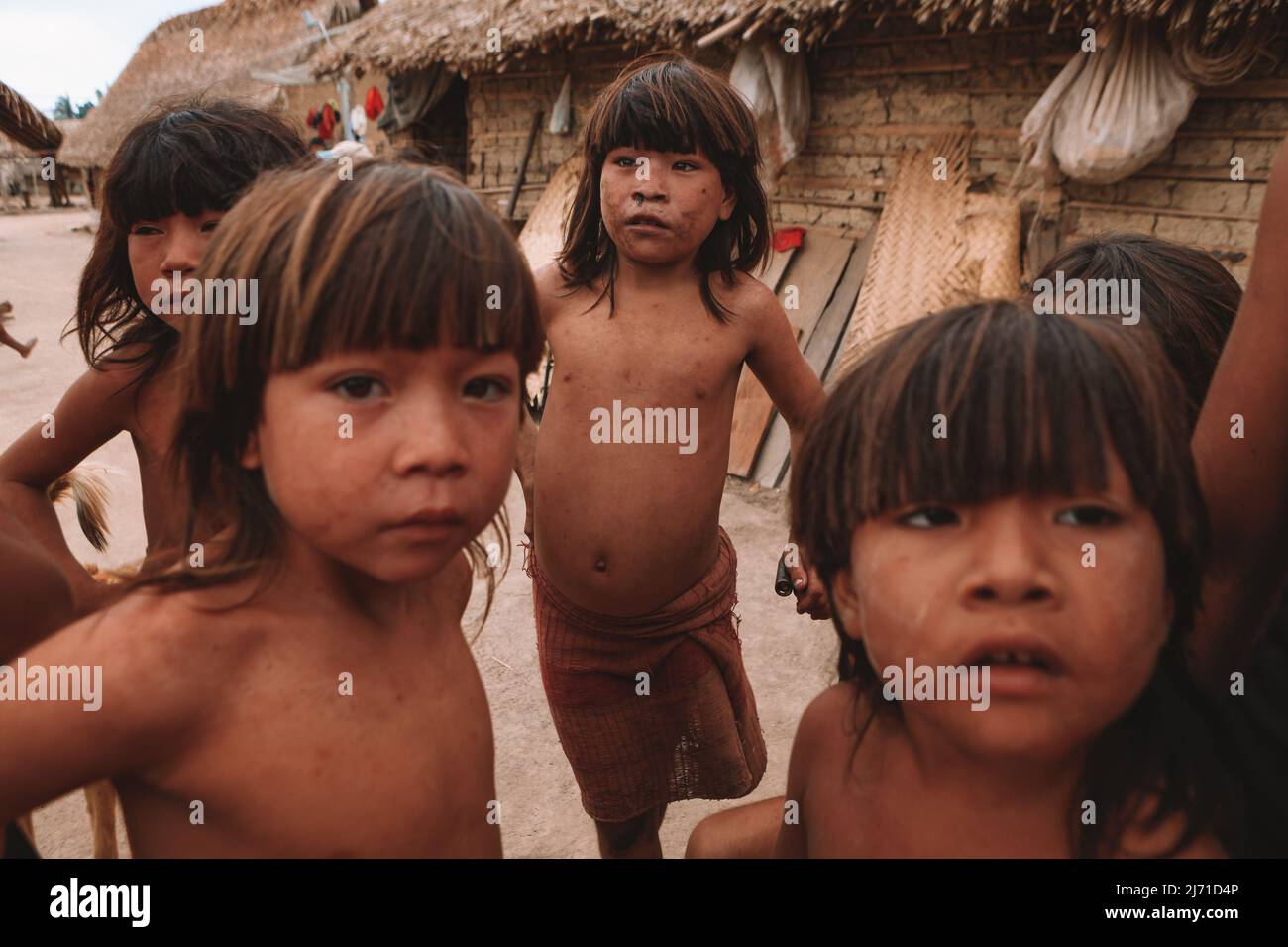 Group of indian children from an Amazon indigenous tribe in Brazil looking  curiously at the camera. Baixo Amazonas, Pará, Brazil. 2010 Stock Photo -  Alamy