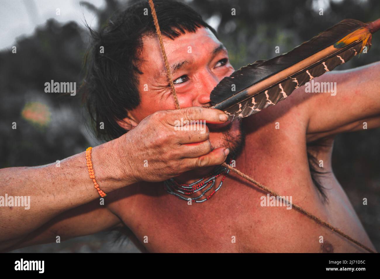 Indian man from an Amazon tribe in Brazil shooting with bow and arrow. Baixo Amazonas, Pará, Amazon, Brazil. Stock Photo