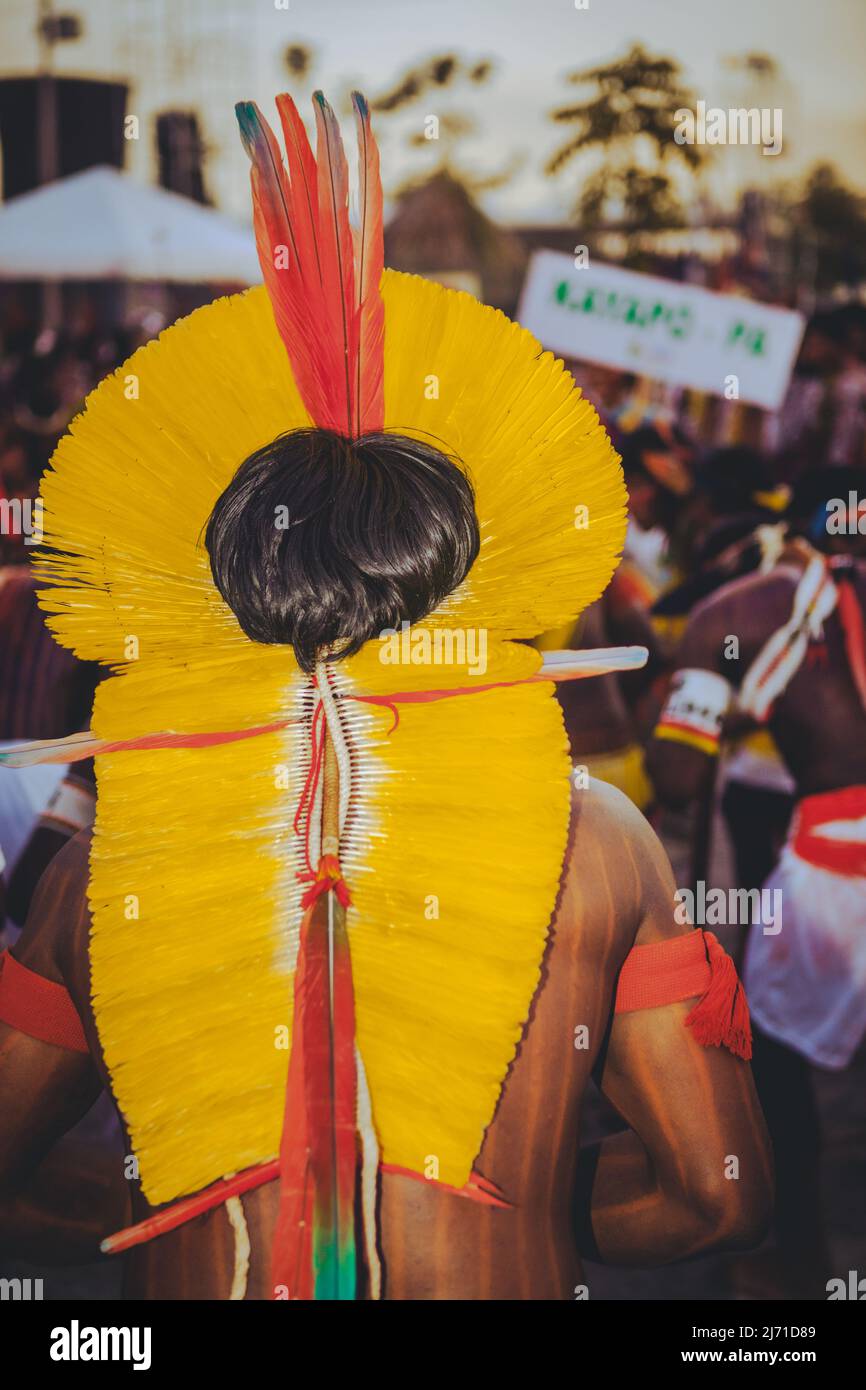 Indigenous man from a Brazilian Amazon tribe wearing feather headdress called cocar. Xingu River, Amazon, Brazil. 2009. Stock Photo