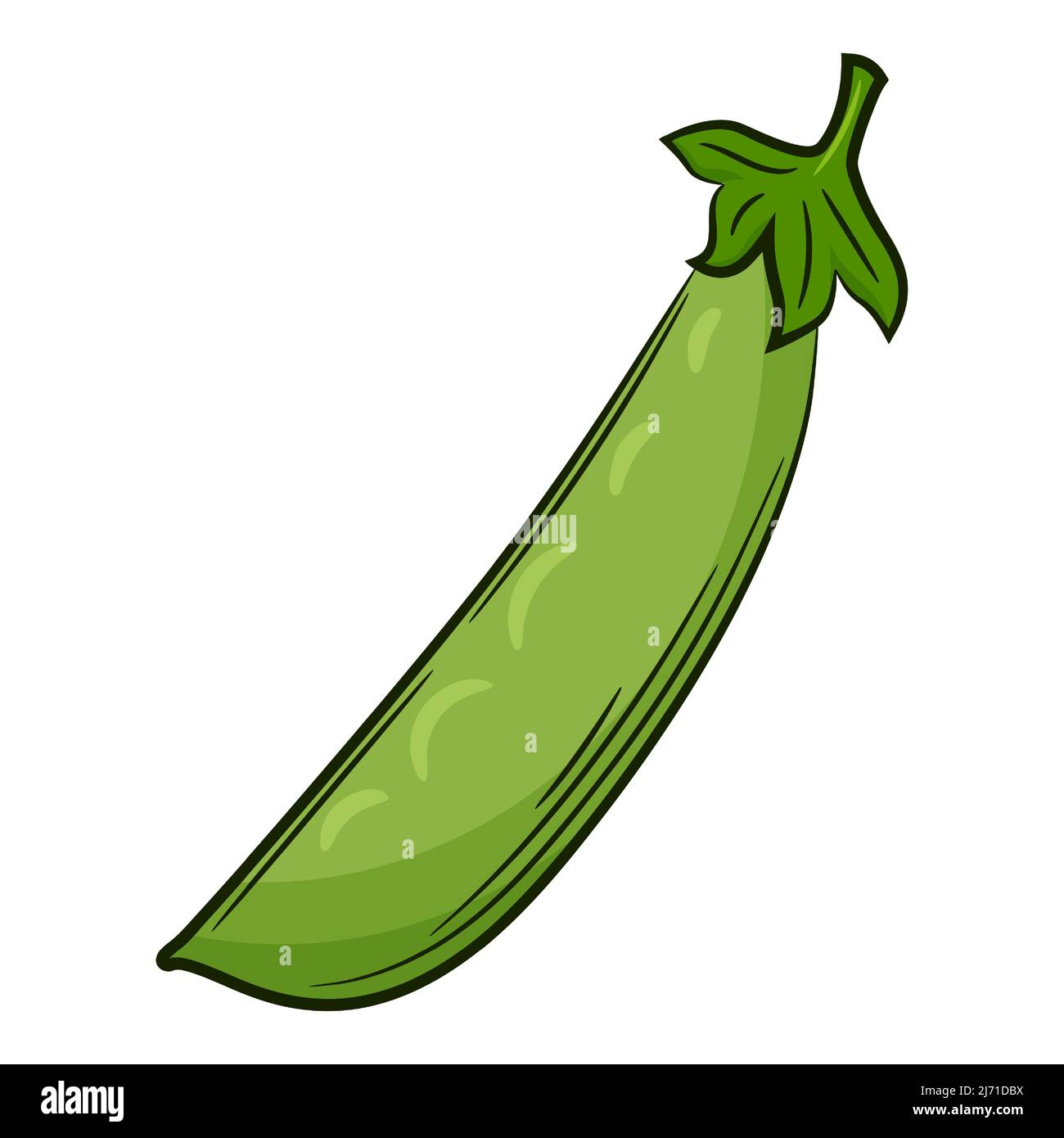 Pea Pod. A vegetable in a linear style, drawn by hand. Food ingredient, design element.Color vector illustration with outline. Isolated on a white bac Stock Vector