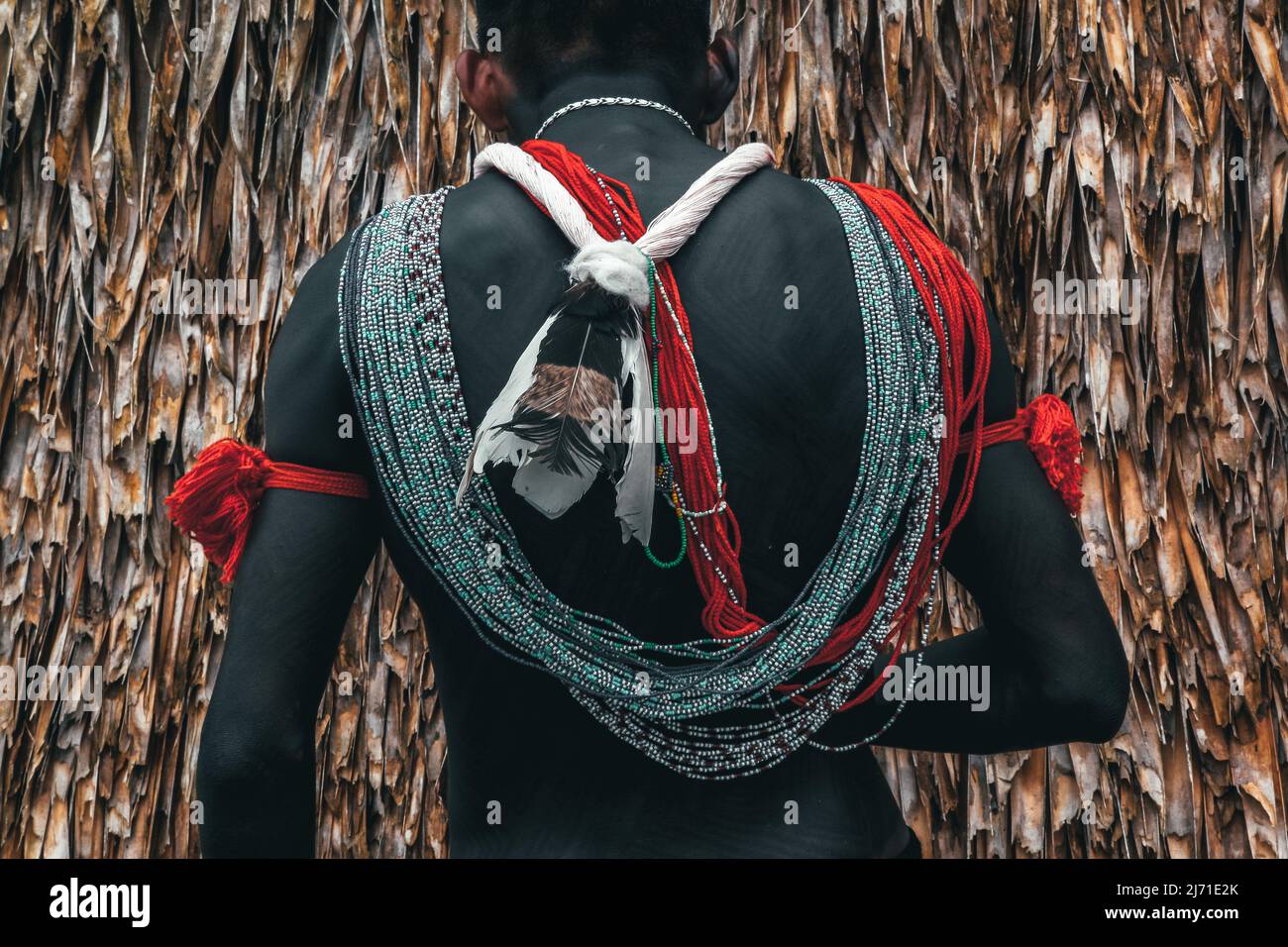 Detail of adornment or jewellery on the  back of an indian man from a Brazilian Amazon tribe,  taking part in the Indigenous Games. 2010. Stock Photo