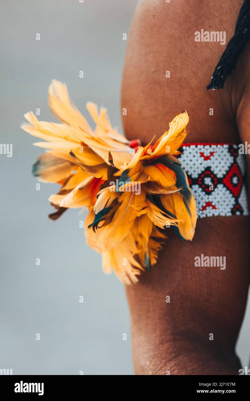 Feather adornments around the arm of an indian woman of a Brazilian Amazon tribe. Dia do Índio. Stock Photo