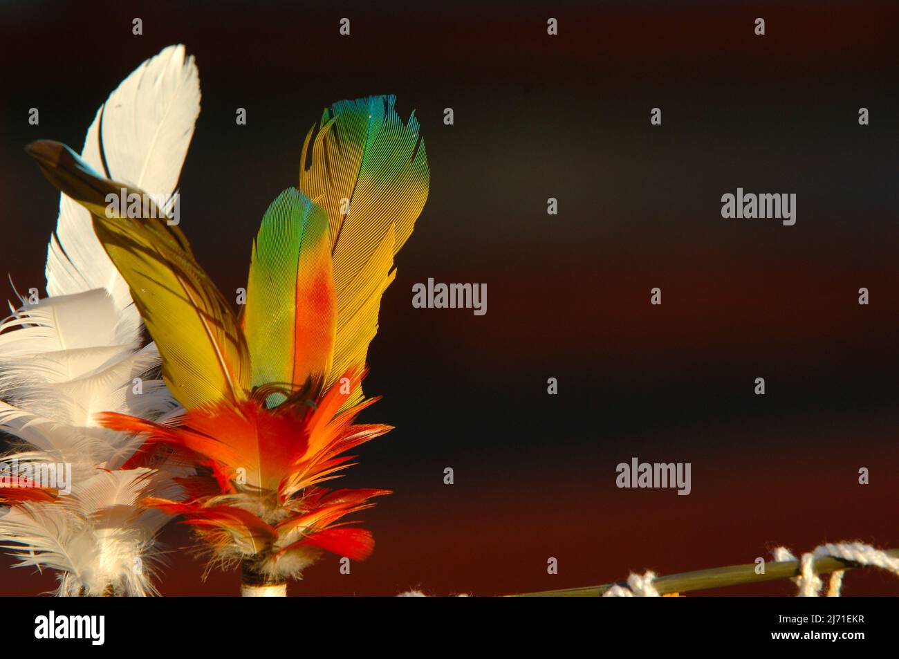 Indian headdress made of multi coloured bird feathers by members of a Brazilian tribe in the Amazon. Stock Photo