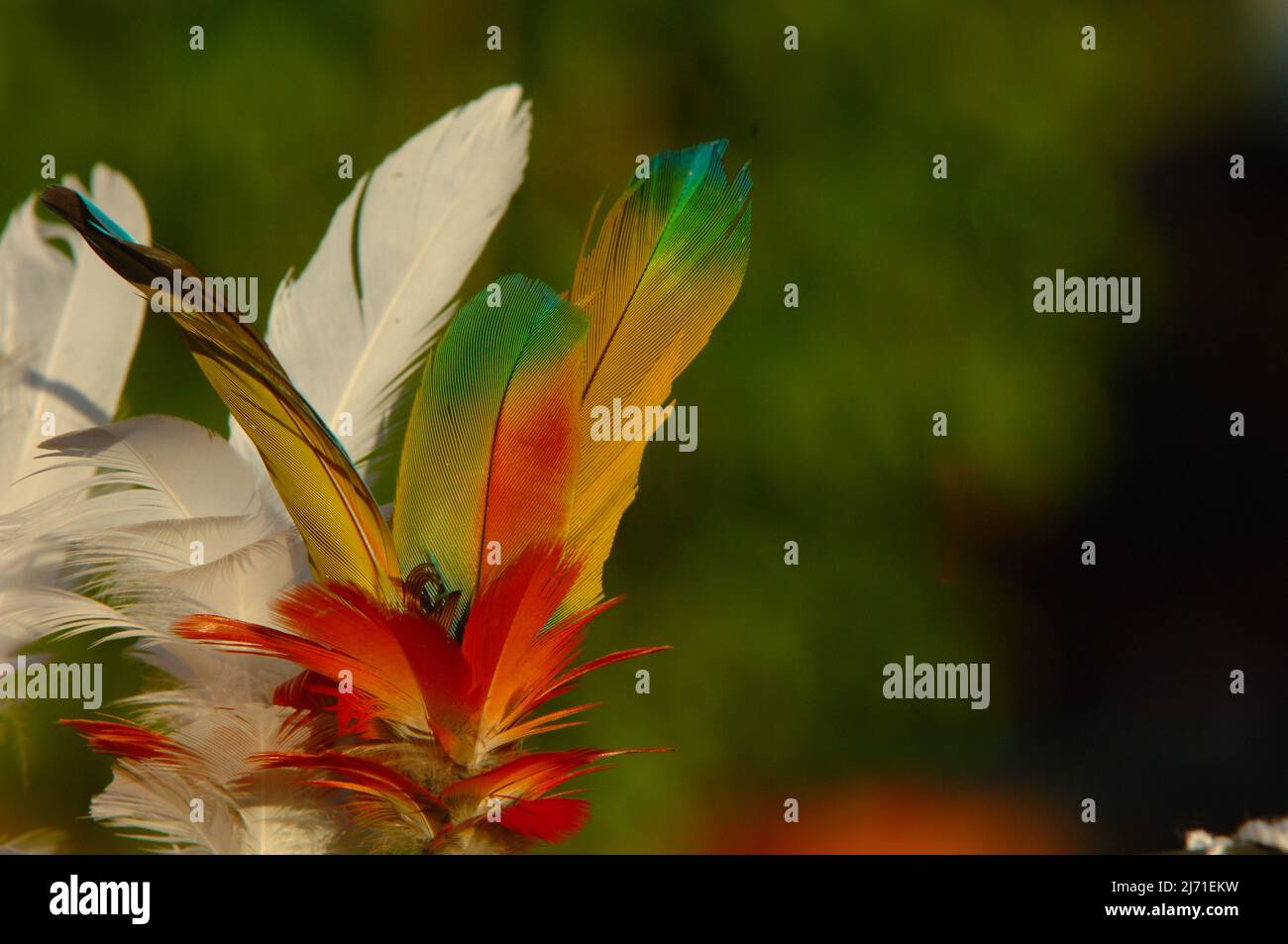 Indian headdress made of multi coloured bird feathers by members of a Brazilian tribe in the Amazon. Stock Photo