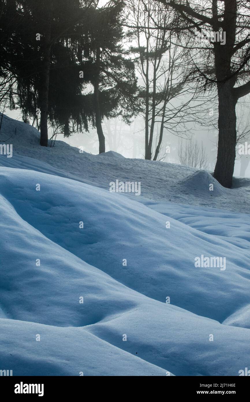 Fog and snow Stock Photo Alamy