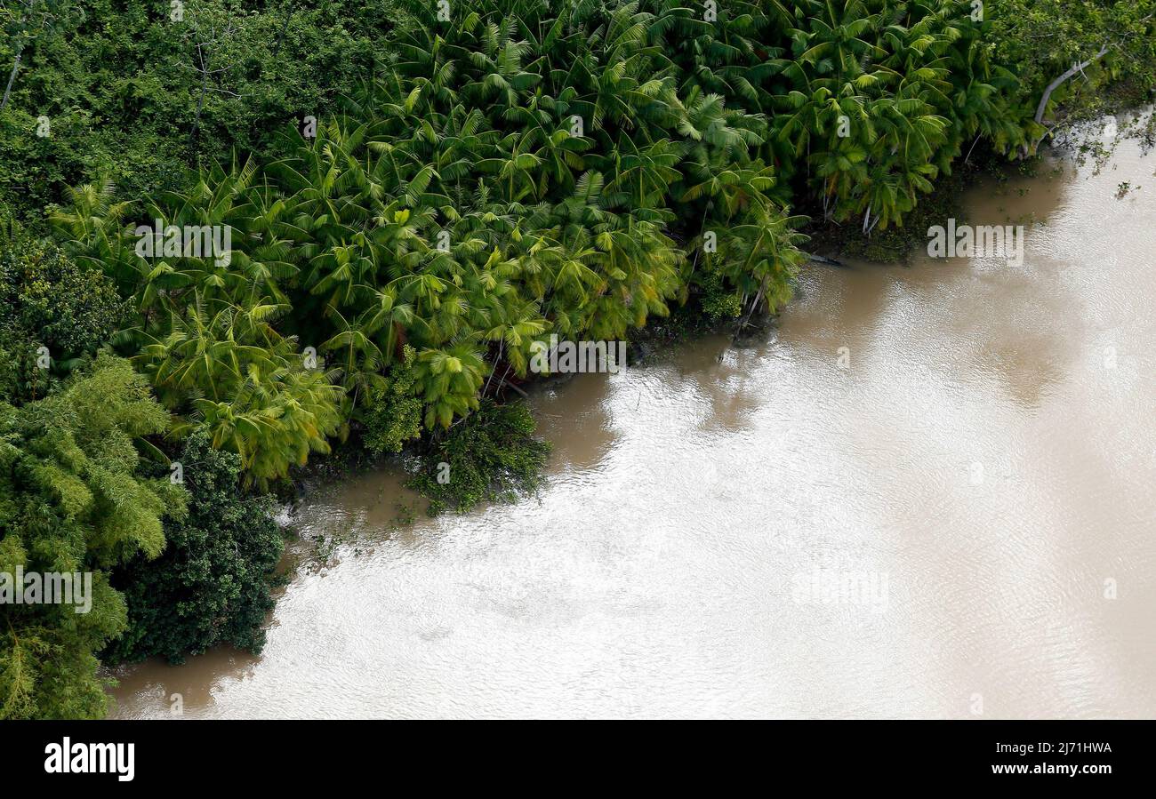 Aerial view of a mangrove in the Amazon River in Brazil. Stock Photo