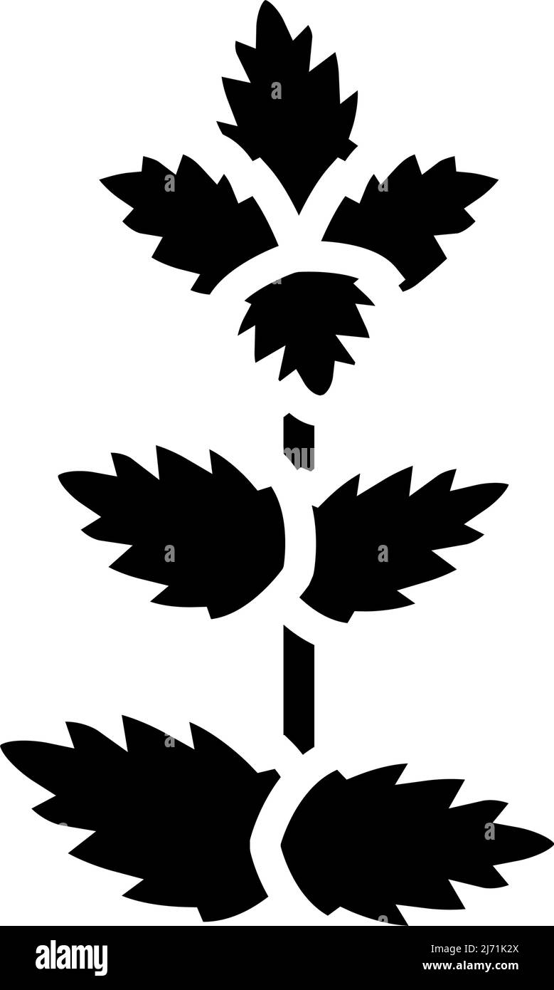 mint leaf glyph icon vector illustration Stock Vector Image & Art Alamy