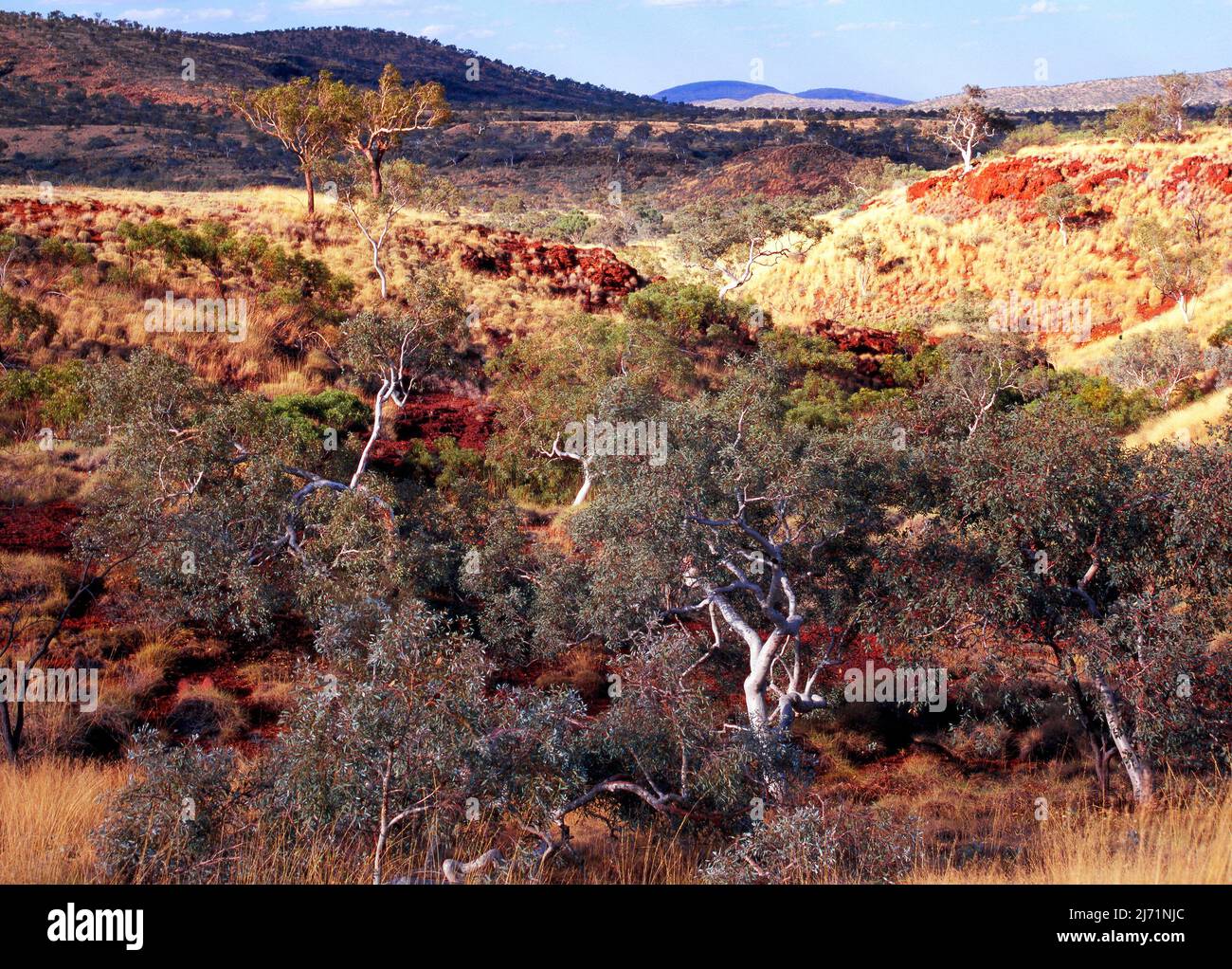 Australian landscape, Pilbara, Northwest Australia Stock Photo