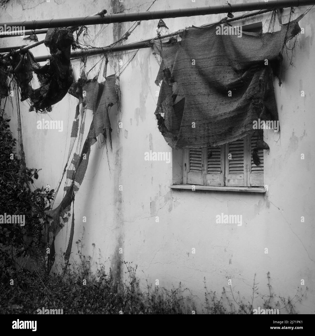 Torn garden tent and window shutter. Abandoned house exterior black and white. Stock Photo