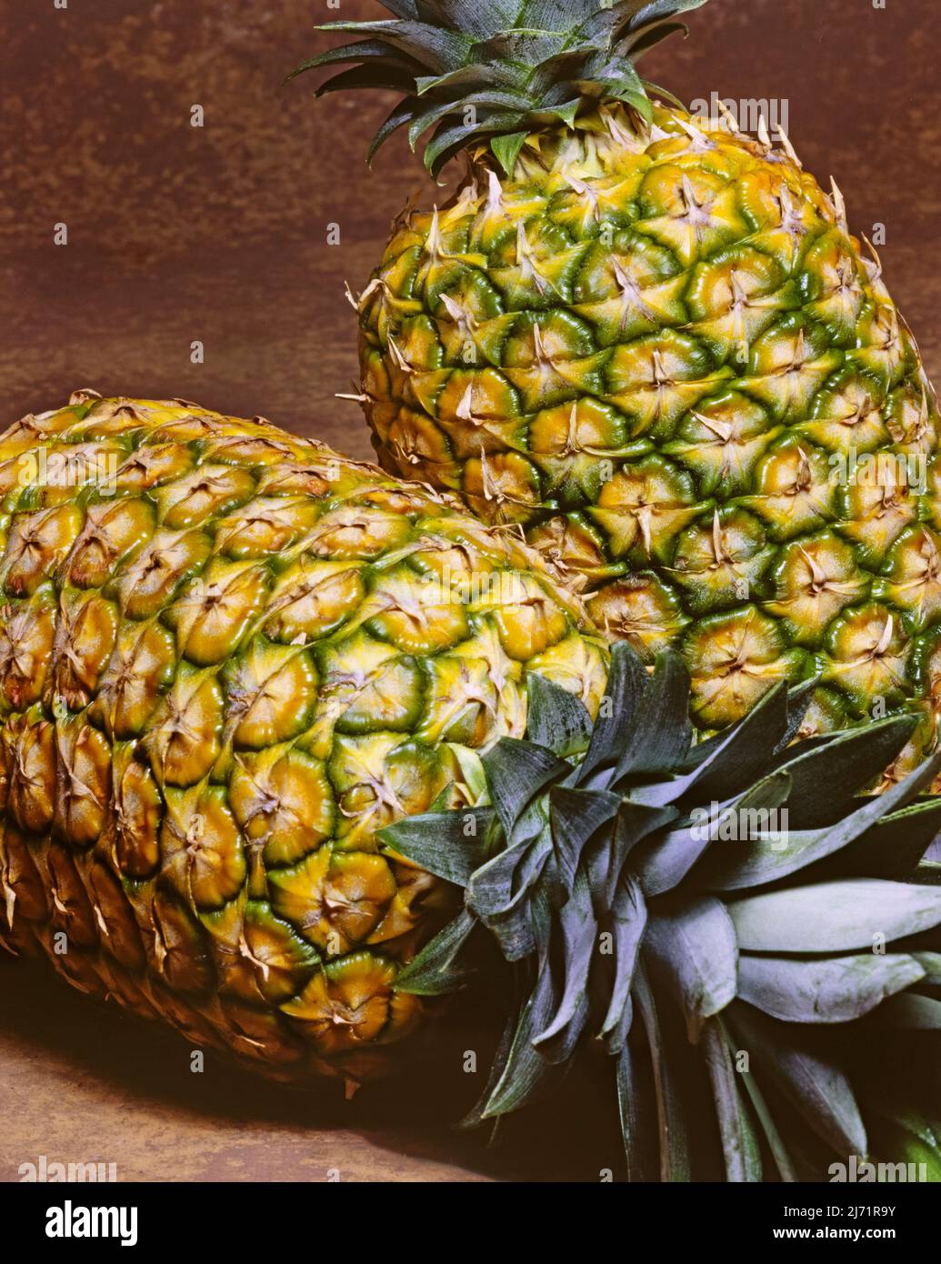Two ripe Pineapples on brown background. Image from 4x5 inch film transparency. Stock Photo