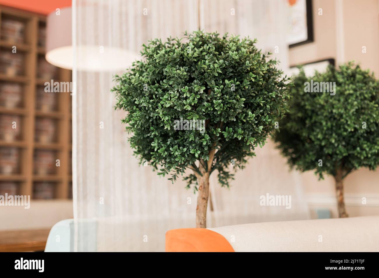 plastic green bush tree as interior decoration Stock Photo