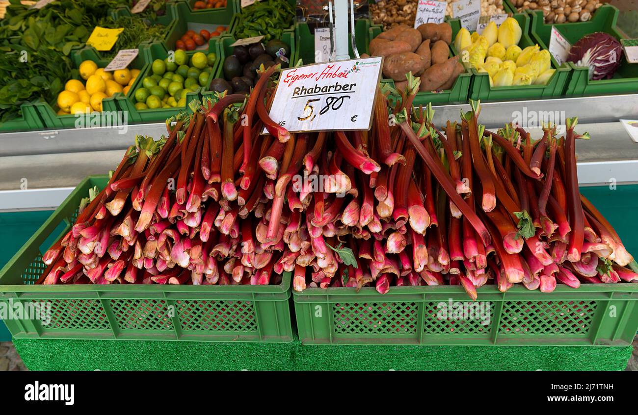 Frischer Rhabarber (Rheum rhabarbarum) auf dem Markt, Niedersachsen, Deutschland Stock Photo