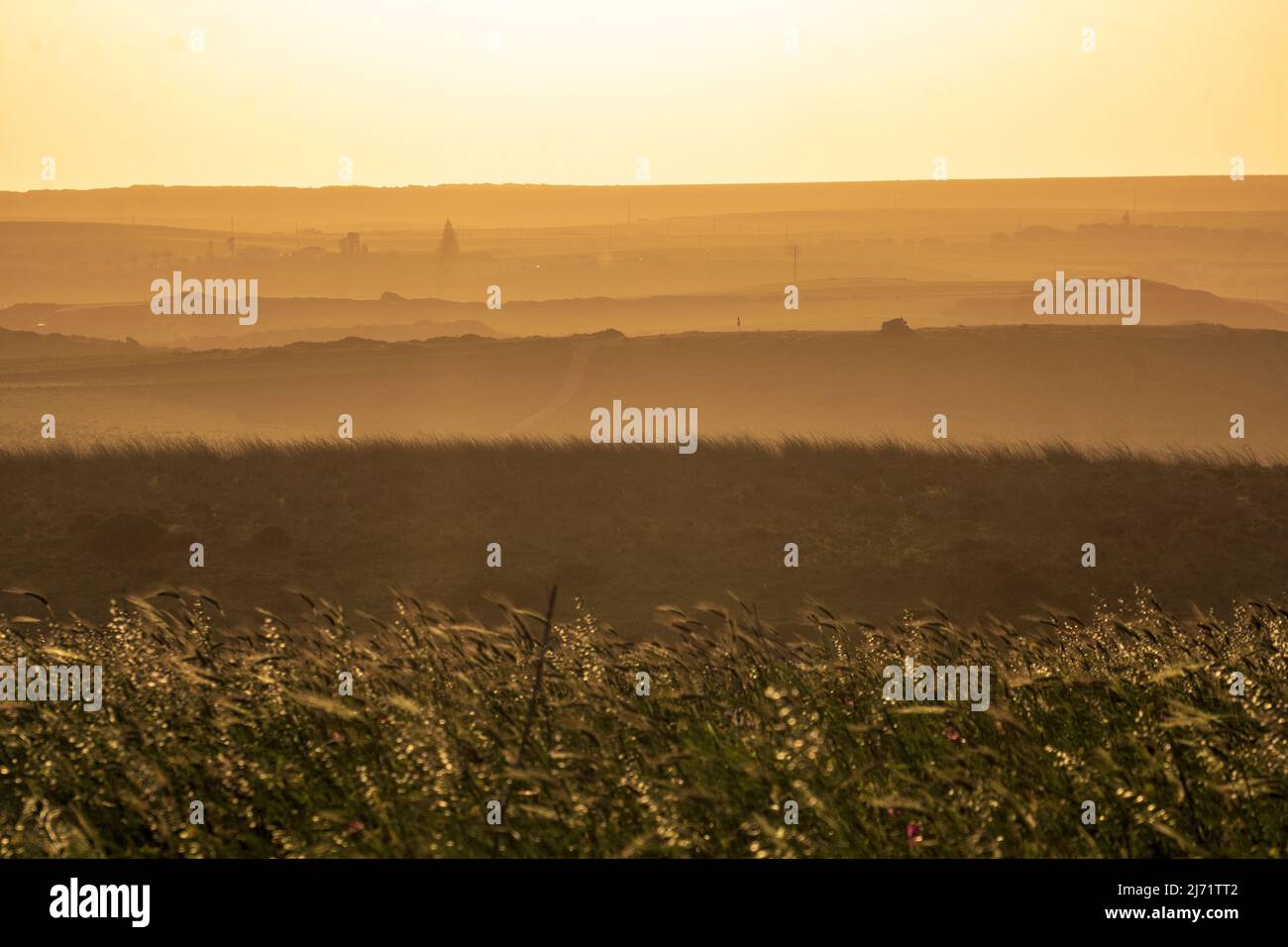 Rolling hills, wheatfield, southern Portugal at sunset Stock Photo