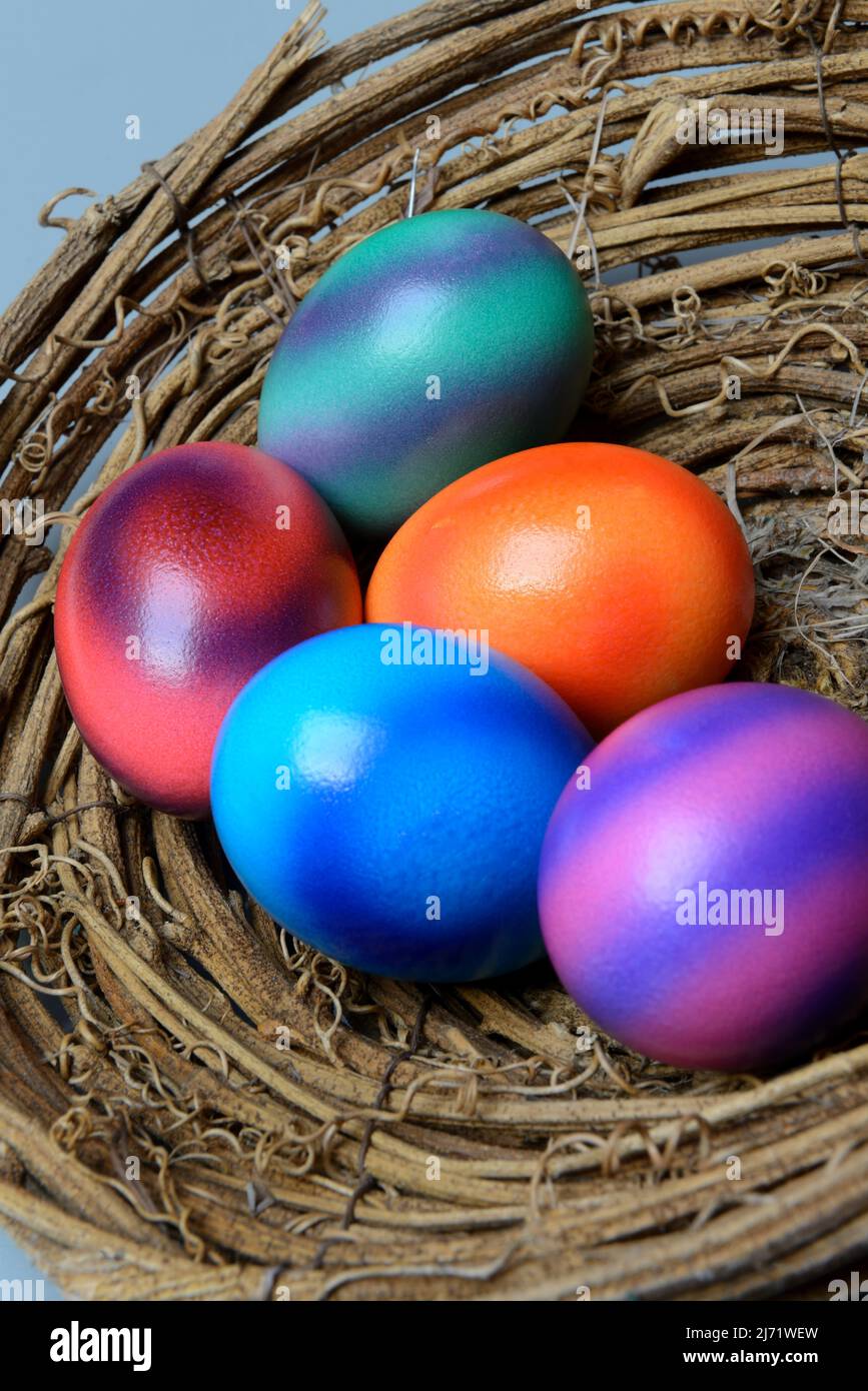 Gefaerbte Eier in Nestschale, bunte Ostereier Stock Photo