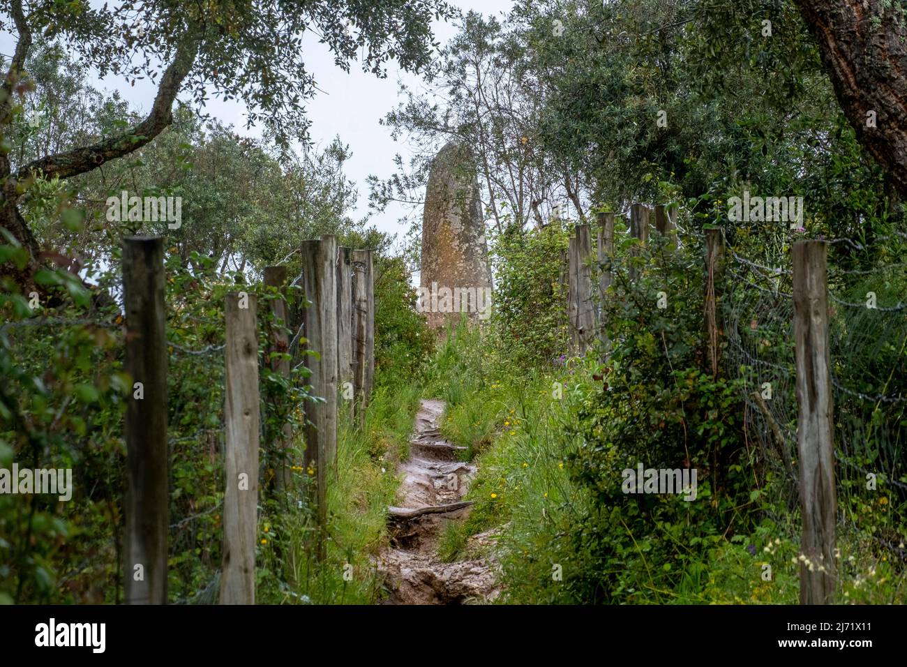 Menhir of Almendres, part of a megalithic stone complex near Evora, Portugal Stock Photo