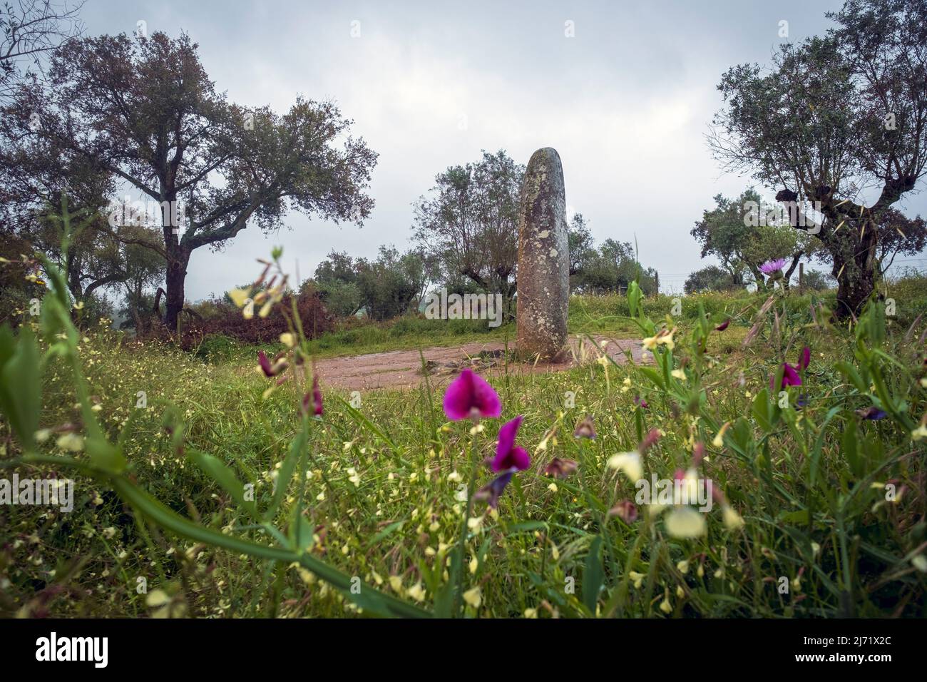 Menhir of Almendres, part of a megalithic stone complex near Evora, Portugal Stock Photo