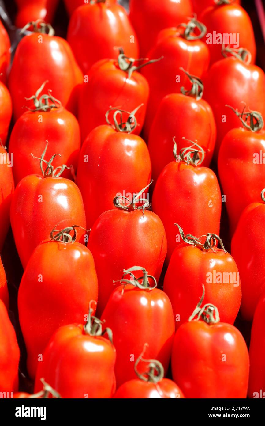 Frische Tomaten, Deutschland Stock Photo Alamy