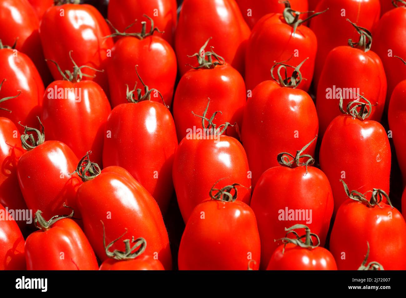 Frische Tomaten, Deutschland Stock Photo Alamy