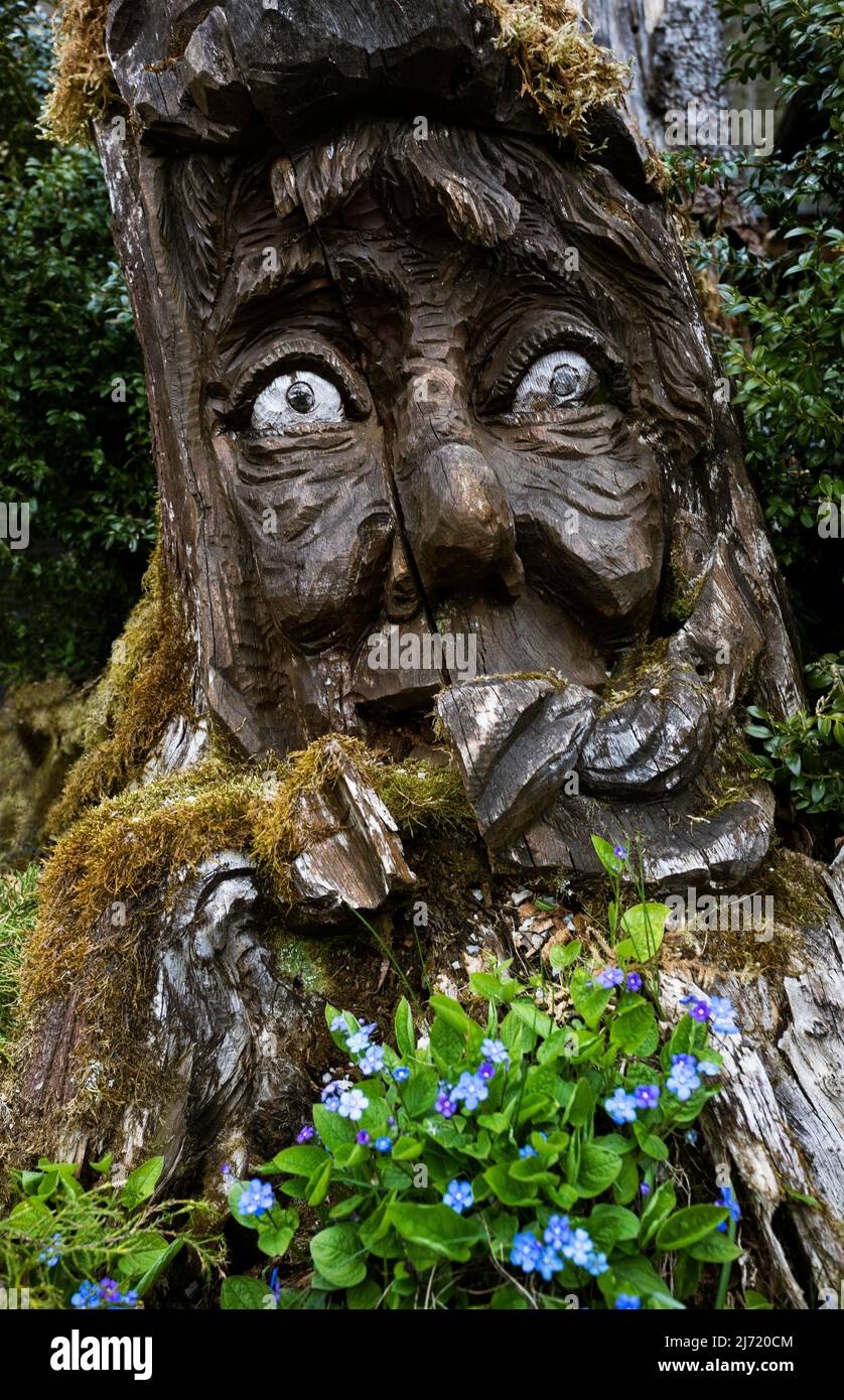 Zwerg, Zwergengesicht, Geschnitzte Holzfigur beim Toplitzsee, Salzkammergut, Steiermark, Oesterreich Stock Photo
