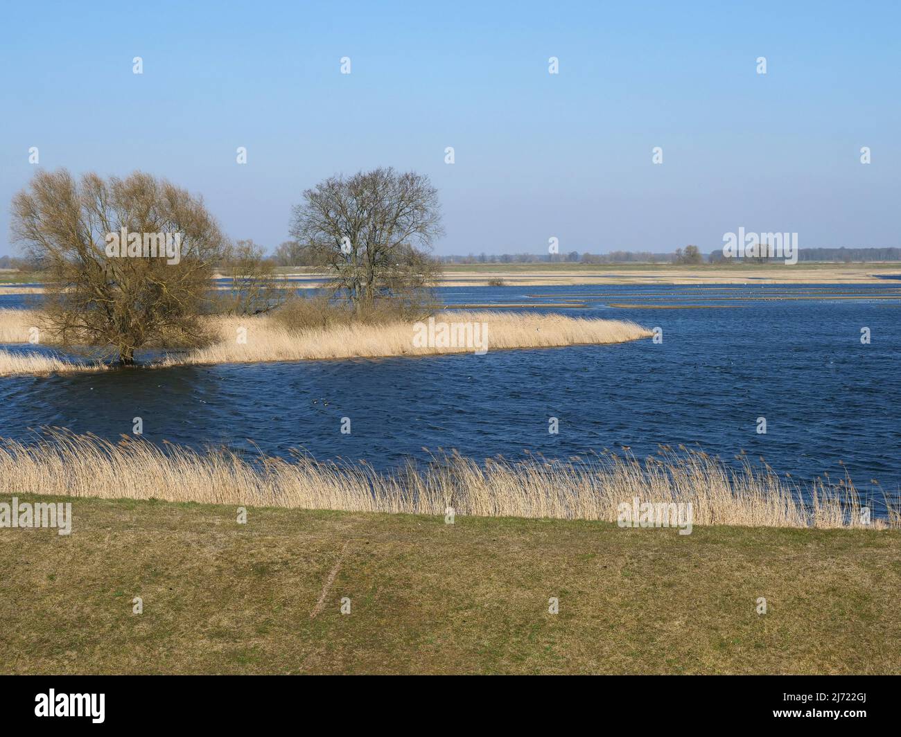 Der Stresower See im Naturschutzgebiet Aland-Elbe-Niederung in den Elbniederungen bei Gummern, Sachsen-Anhalt, Deutschland Stock Photo