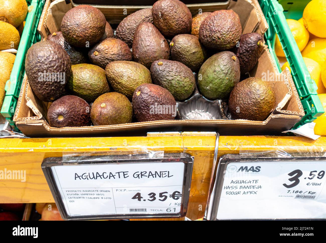 Aguacate granel, avocado with price tag in MAS supermarket Seville