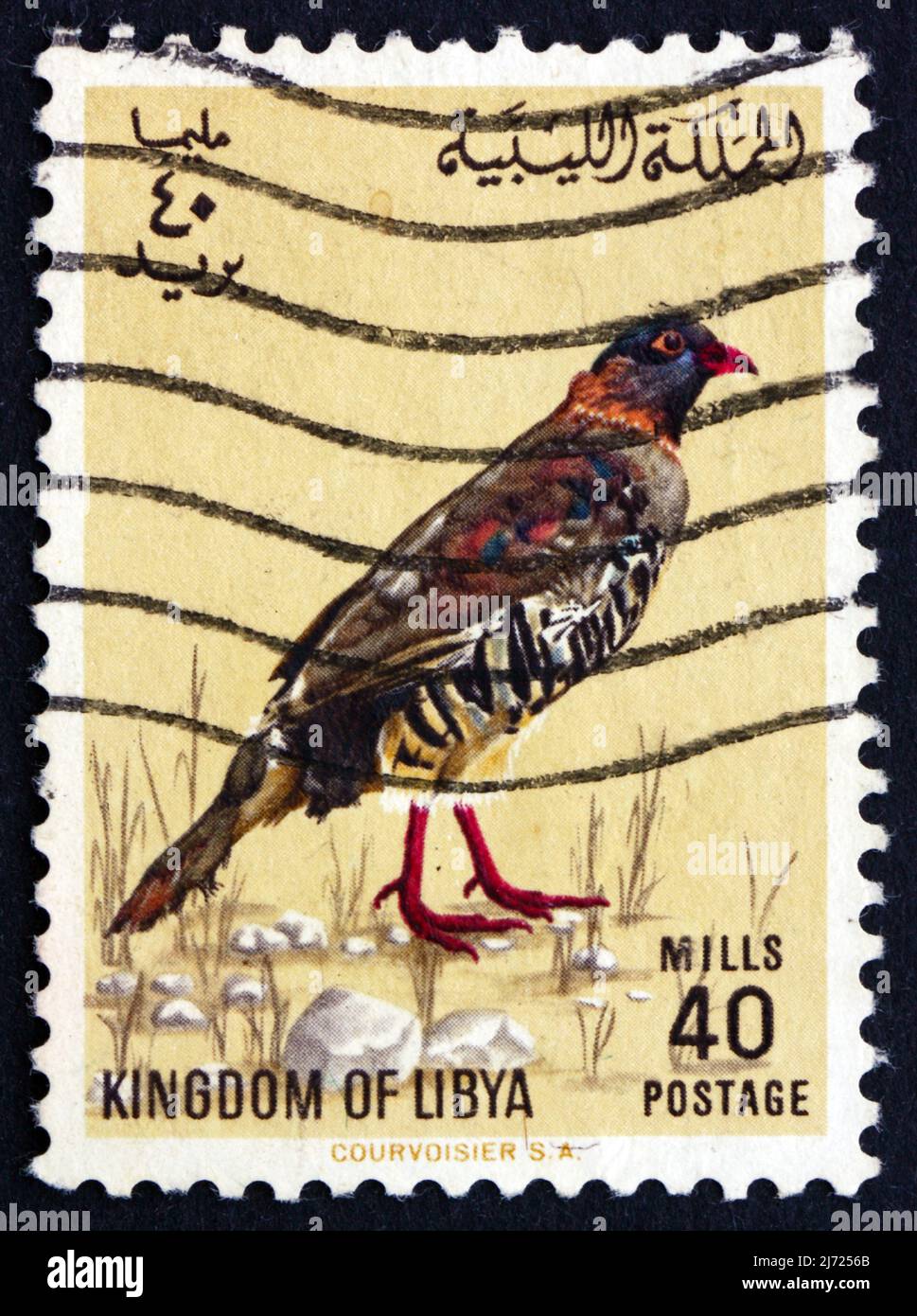 LIBYA - CIRCA 1965: a stamp printed in Libya shows Libyan Barbary Partridge, Alectoris Barbara, Bird, circa 1965 Stock Photo