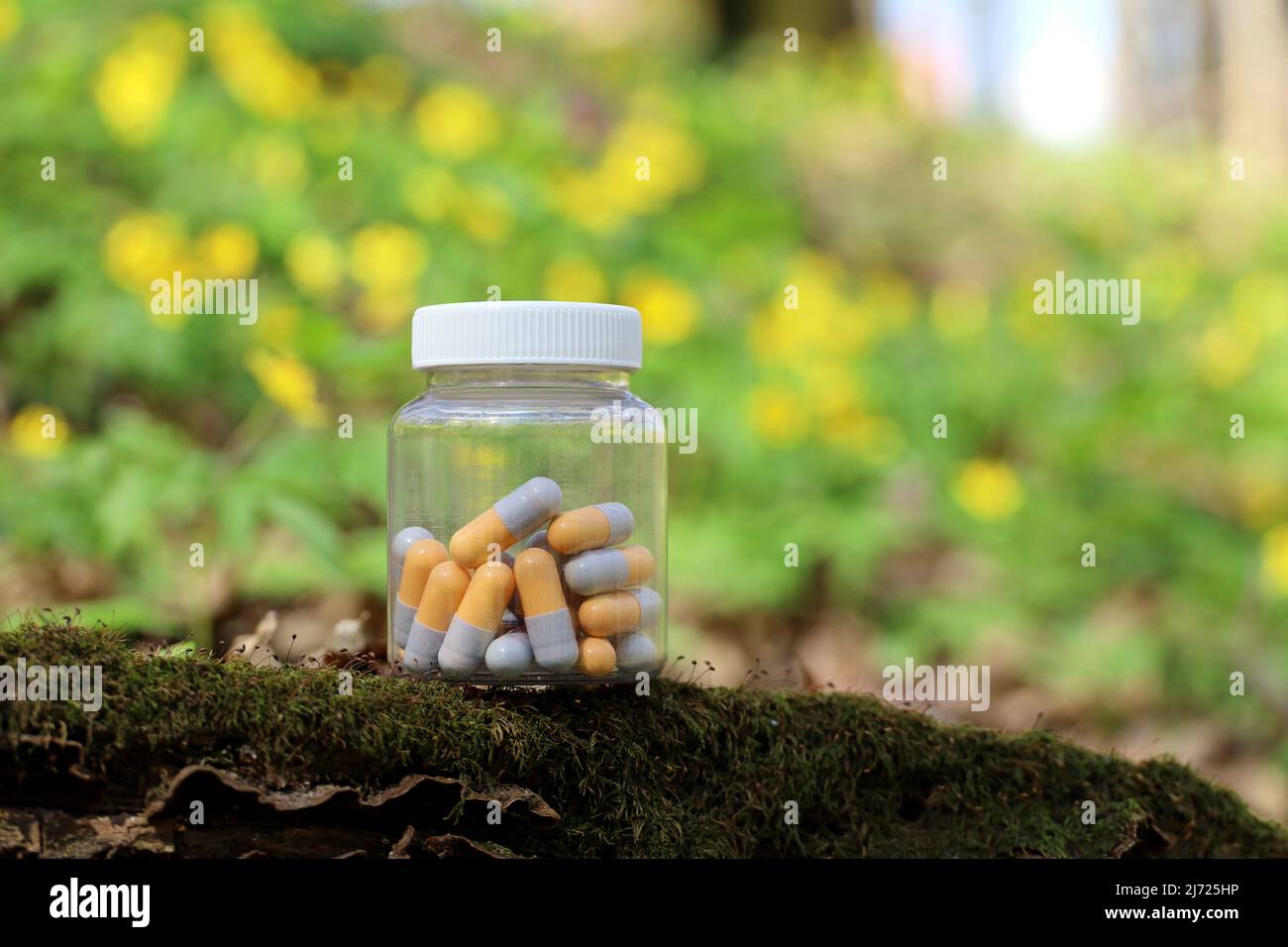 Pills on green nature background, bottle with capsules in spring forest. Concept of natural vitamins and pharmacy, herbal medicine Stock Photo